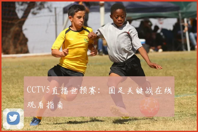 CCTV5直播世预赛：国足关键战在线观看指南