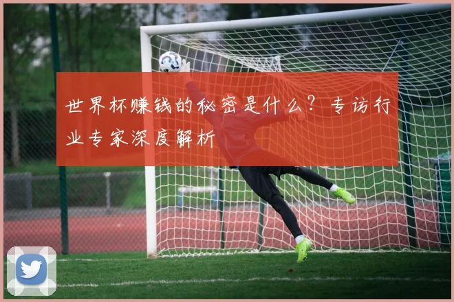 世界杯赚钱的秘密是什么？专访行业专家深度解析