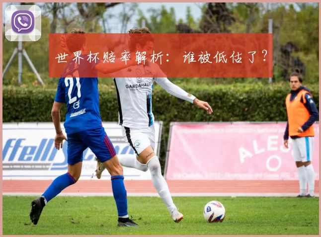 世界杯赔率解析：谁被低估了？