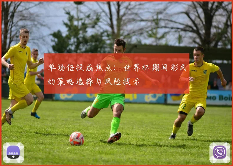 单场倍投成焦点：世界杯期间彩民的策略选择与风险提示