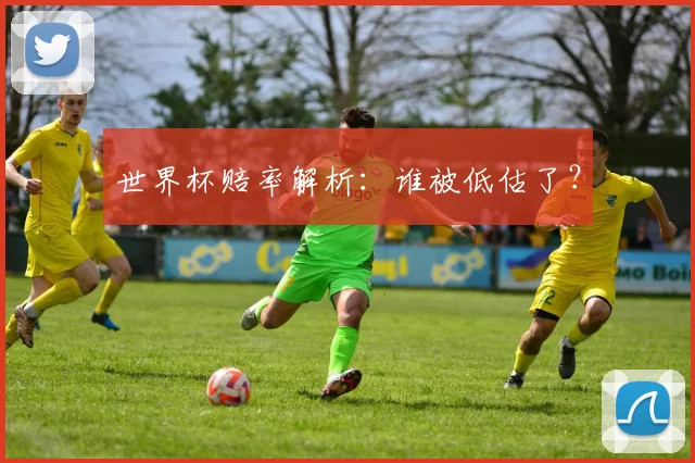 世界杯赔率解析：谁被低估了？