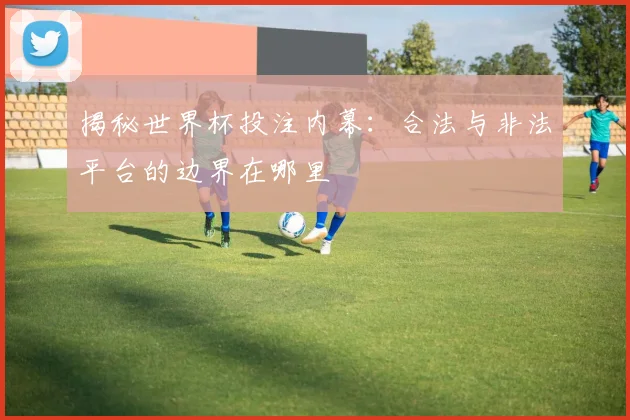 揭秘世界杯投注内幕：合法与非法平台的边界在哪里